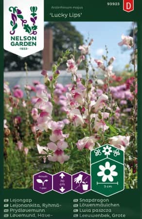 lejongap-lucky-lips-1