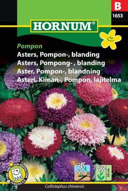 pomponaster-mix-1