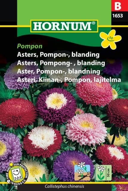 pomponaster-mix-fr-1