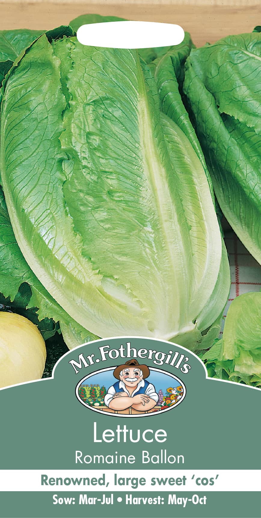 romansallat-romaine-ballon-3
