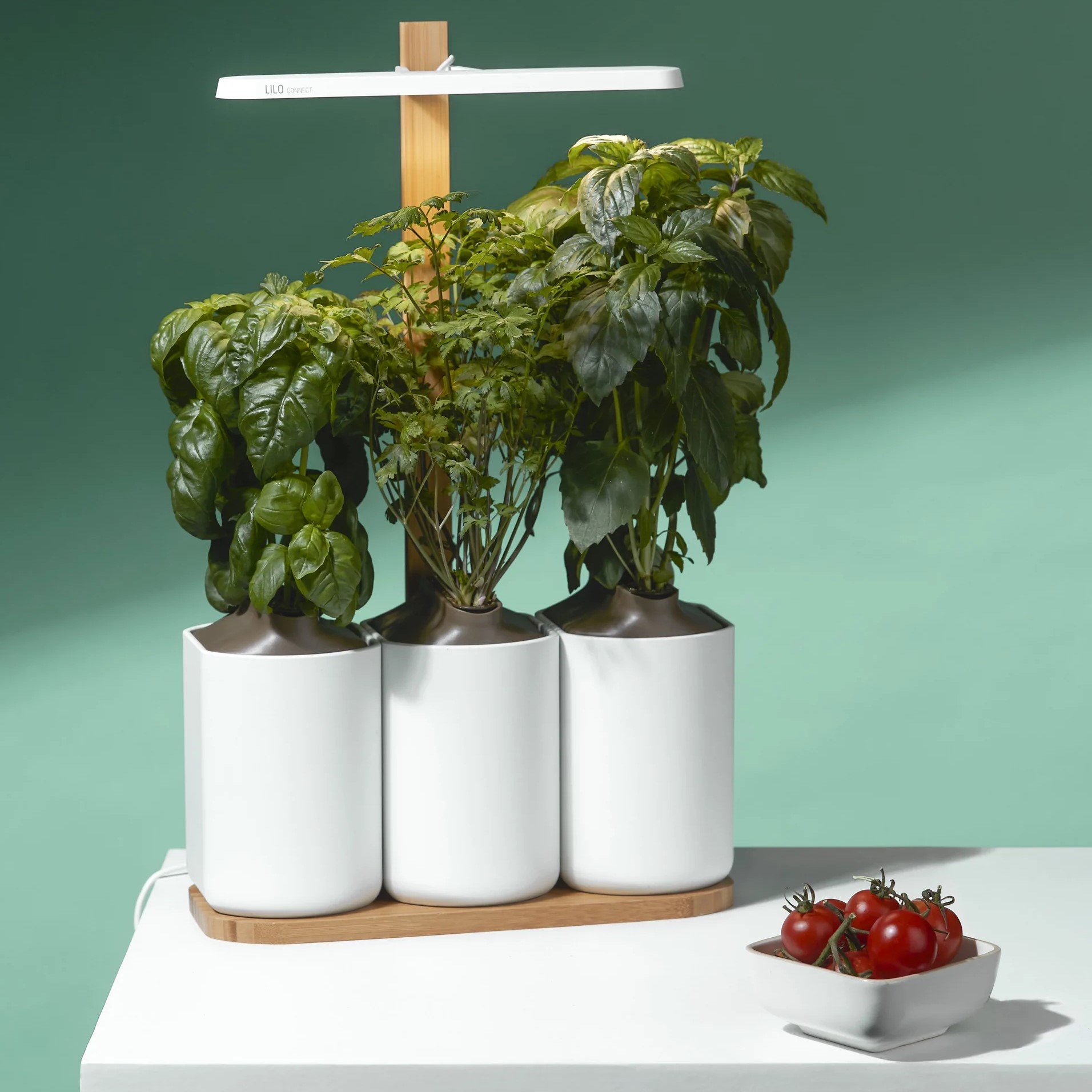 Hydroponisk Odling 'Lilo' Startpaket