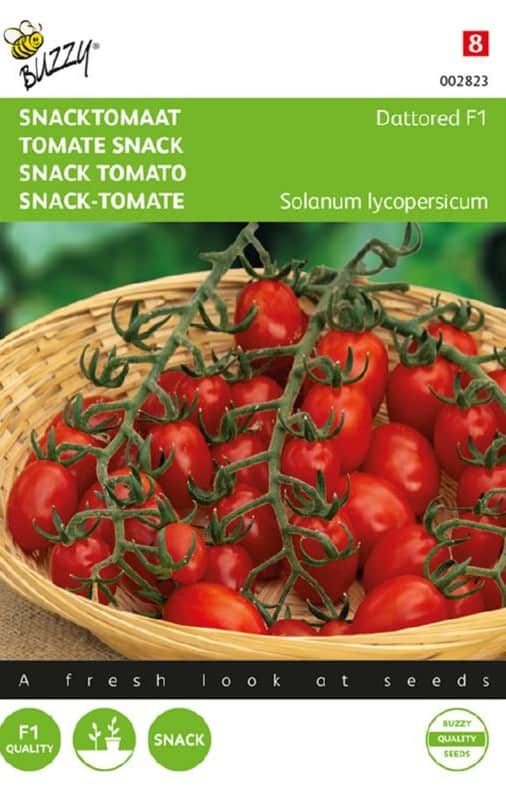 krsbrstomat-dattored-f1-1