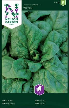 spenat-nores-1