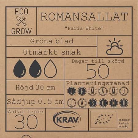 romansallat-paris-white-krav-mrkt-2