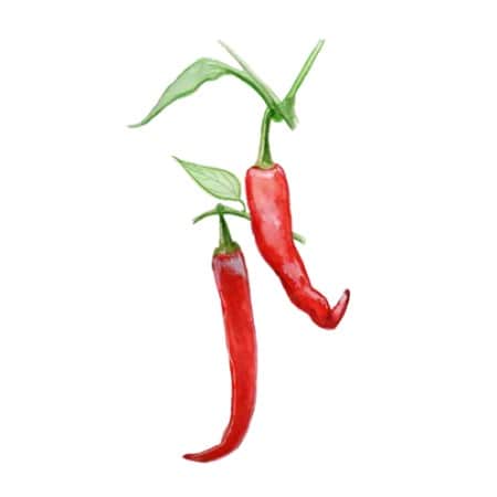 chili-de-cayenne-1