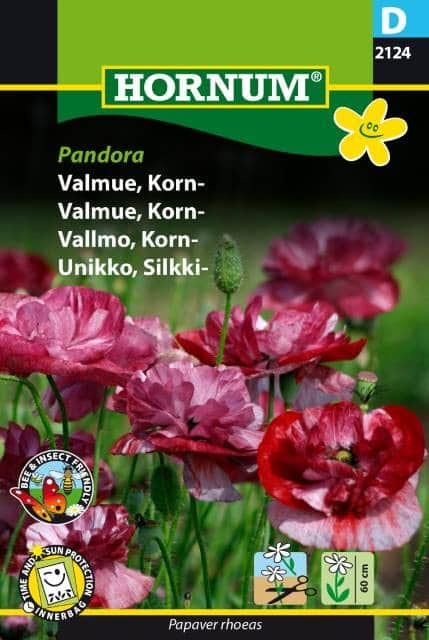 kornvallmo-pandora-1