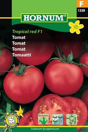 tomat-tropical-red-f1-1
