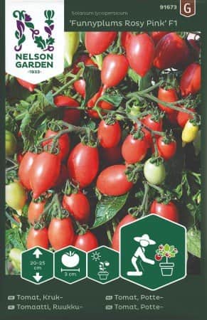 kruktomat-funnyplums-rosy-pink-f1-1