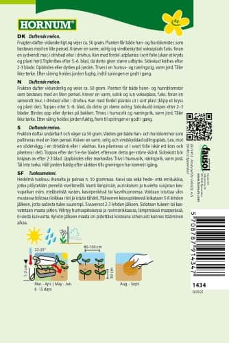 mangomelon-queen-annes-pocket-melon-2