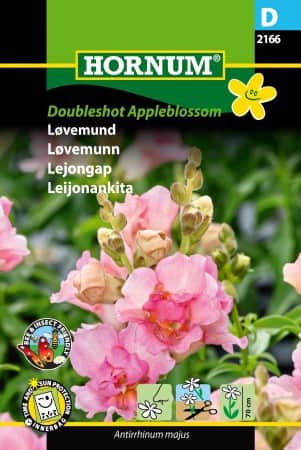 lejongap-doubleshot-appleblossom-1