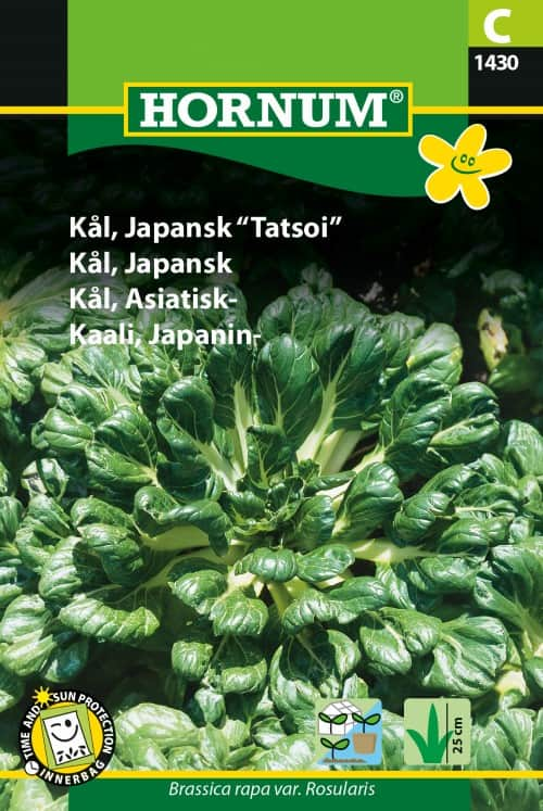 asiatiskkl-tatsoi-1