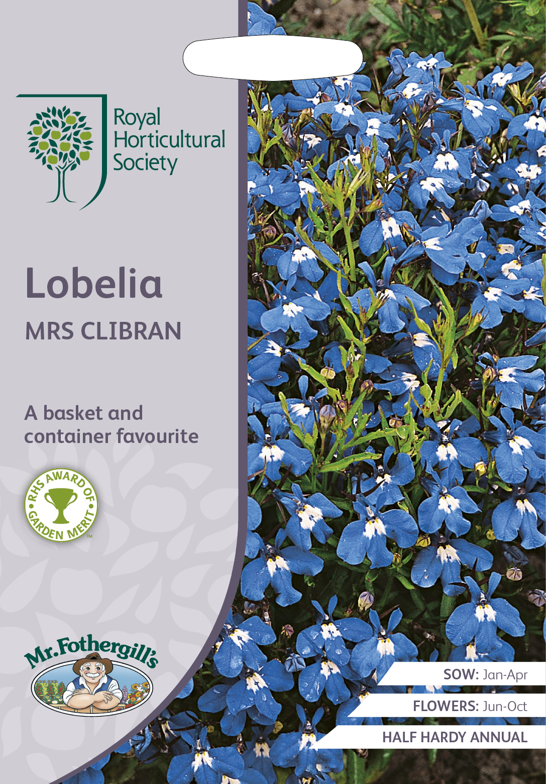 Kantlobelia ’Mrs Clibran’, frö