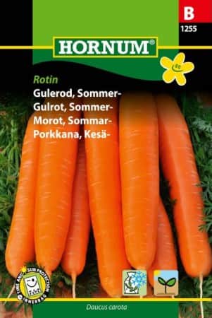 sommarmorot-rotin-1