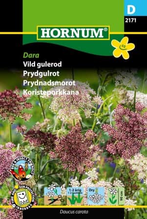 blomstermorot-dara-1