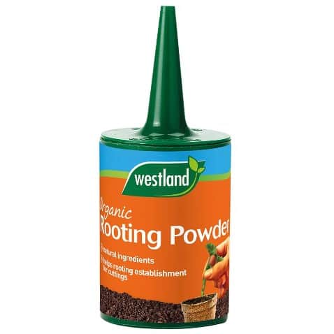 westland-rooting-powder-100g-1