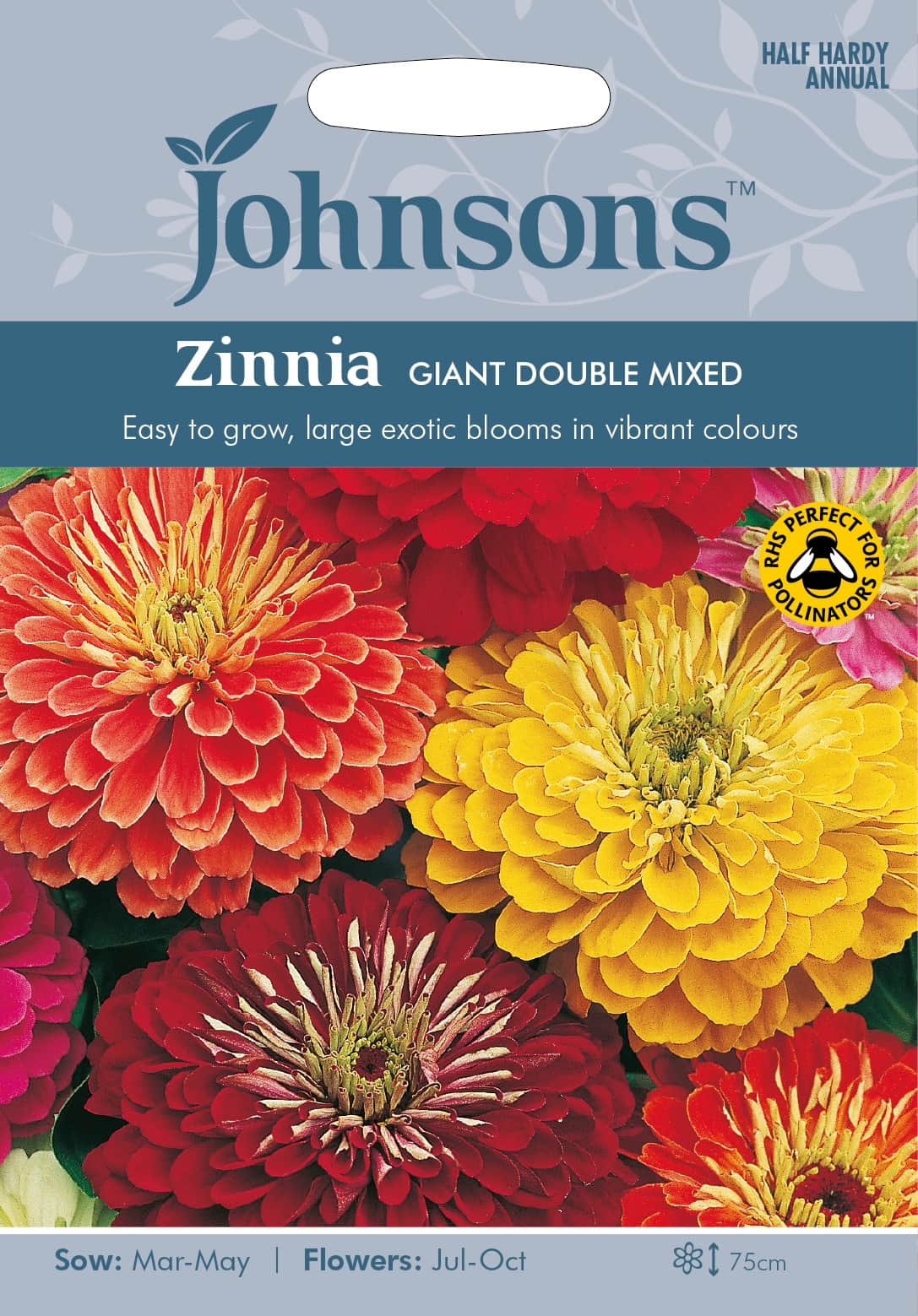 zinnia-giant-double-mix-fr-1