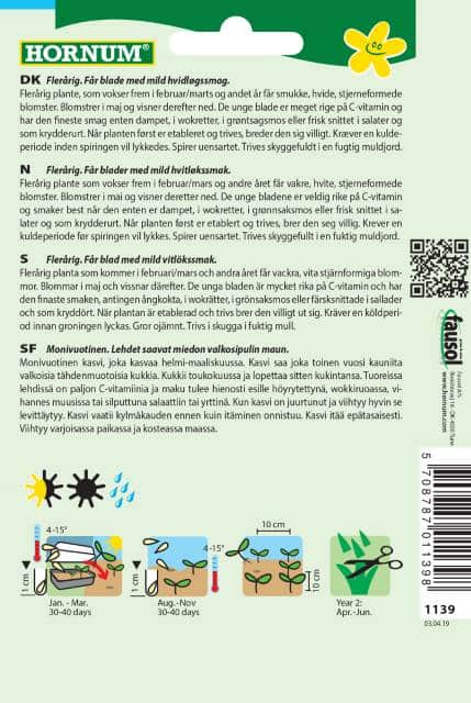 ramslk-forest-floor-2