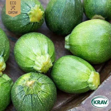 sommarsquash-di-nizza-krav-mrkt-1