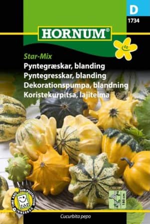 dekorationspumpa-mix-star-1