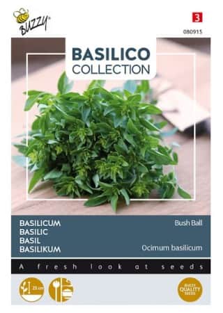 basilika-bush-ball-1