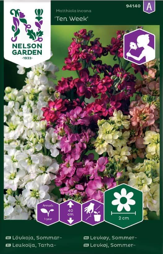 lvkoja-ten-week-mix-1