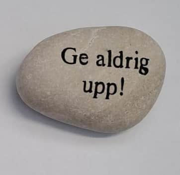 sten-ge-aldrig-upp-1