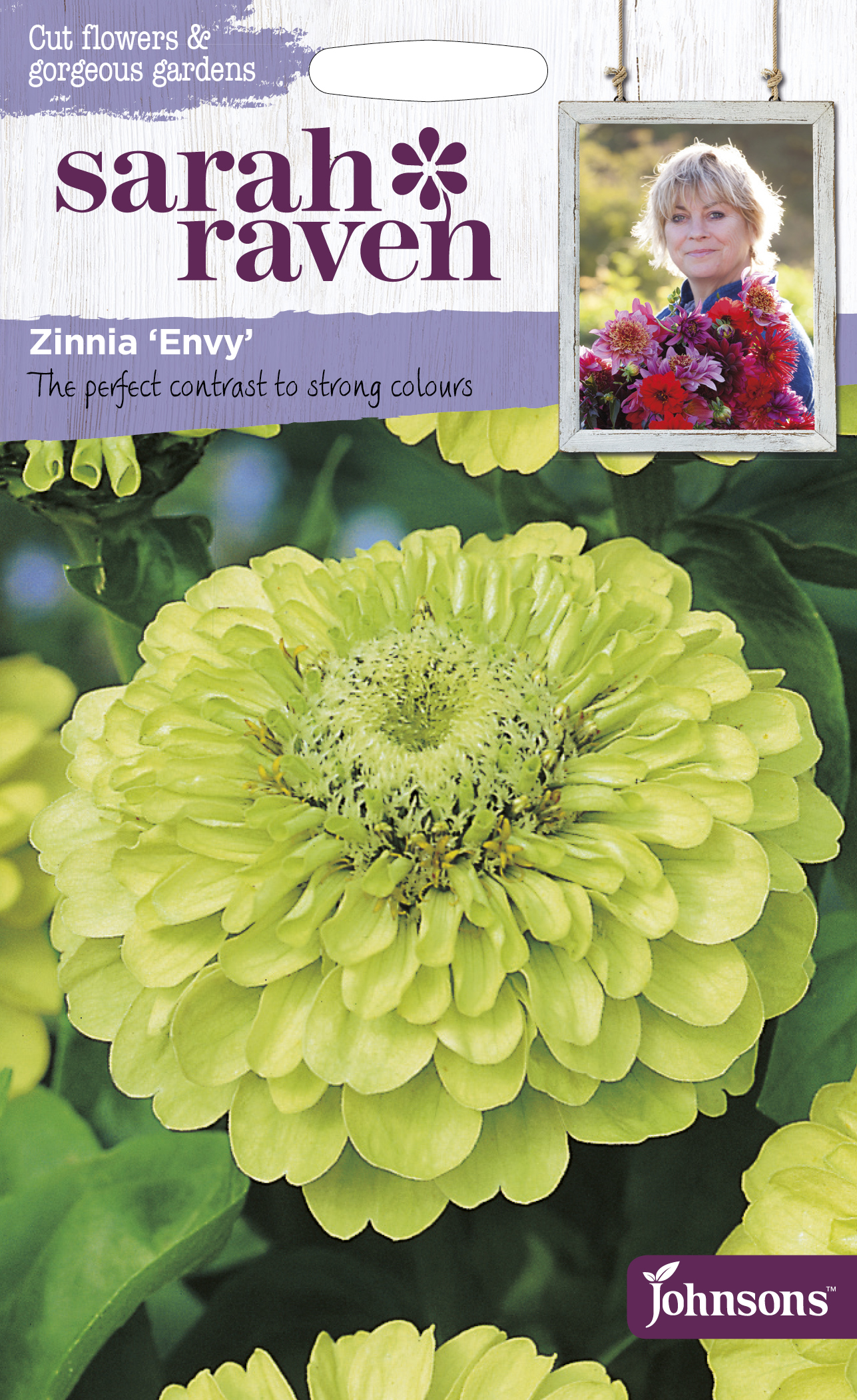 Zinnia ’Envy’, frö