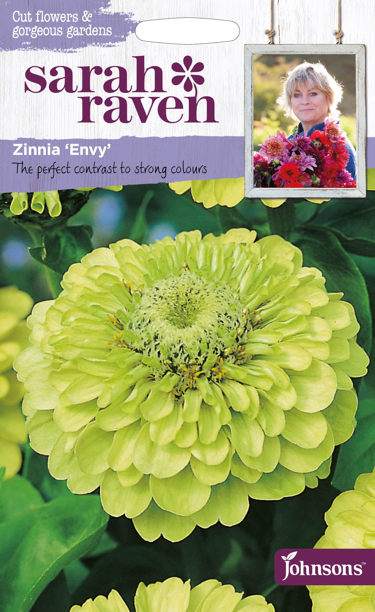 zinnia-envy-fr-1