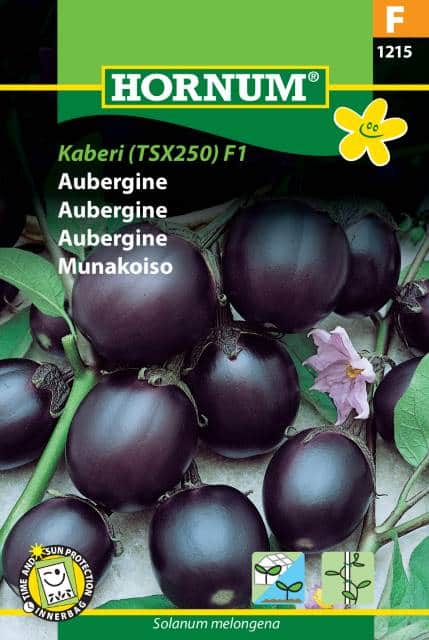 aubergin-kaberi-tsx-250-f1-fr-1