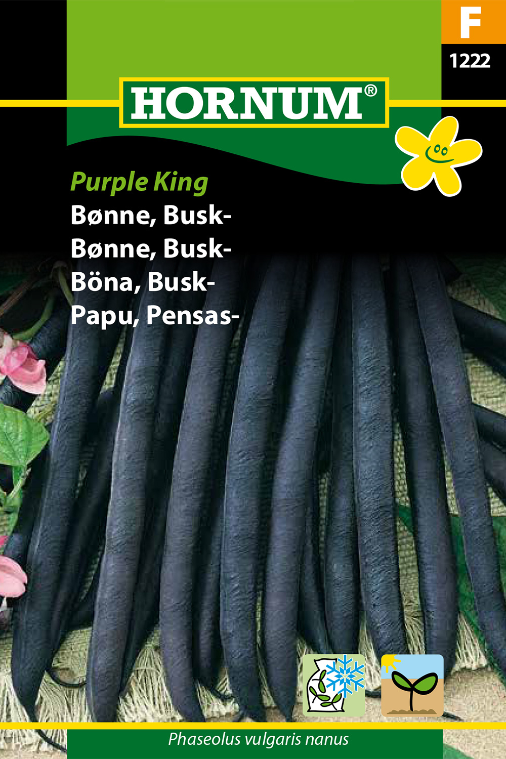 Buskböna ’Purple King’ frö