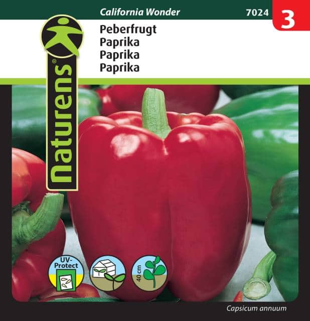 paprika-california-wonder-fr-1