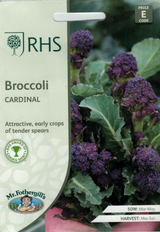 Broccoli ’Cardinal’, frö