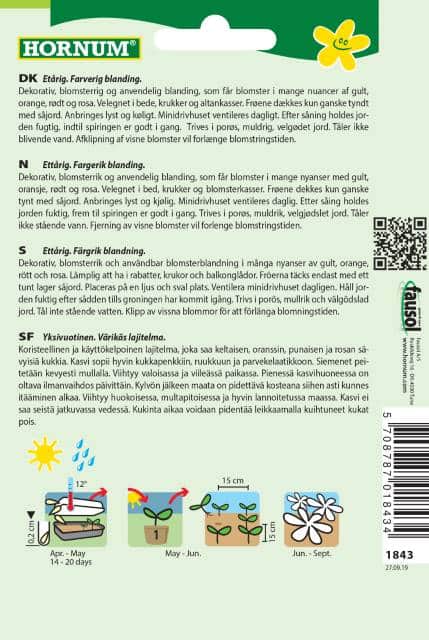 nemesia-mix-carnival-2