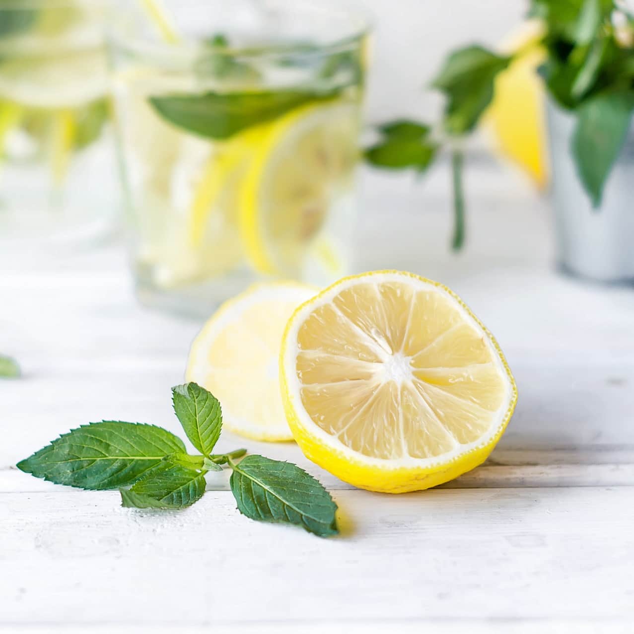 citronmynta-lemon-fresh-105cm-kruka-1