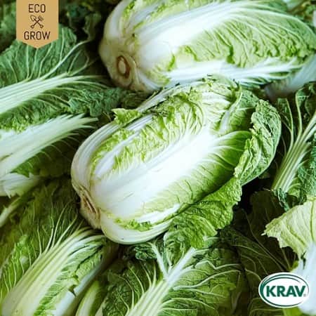 salladskl-selection-krav-mrkt-1