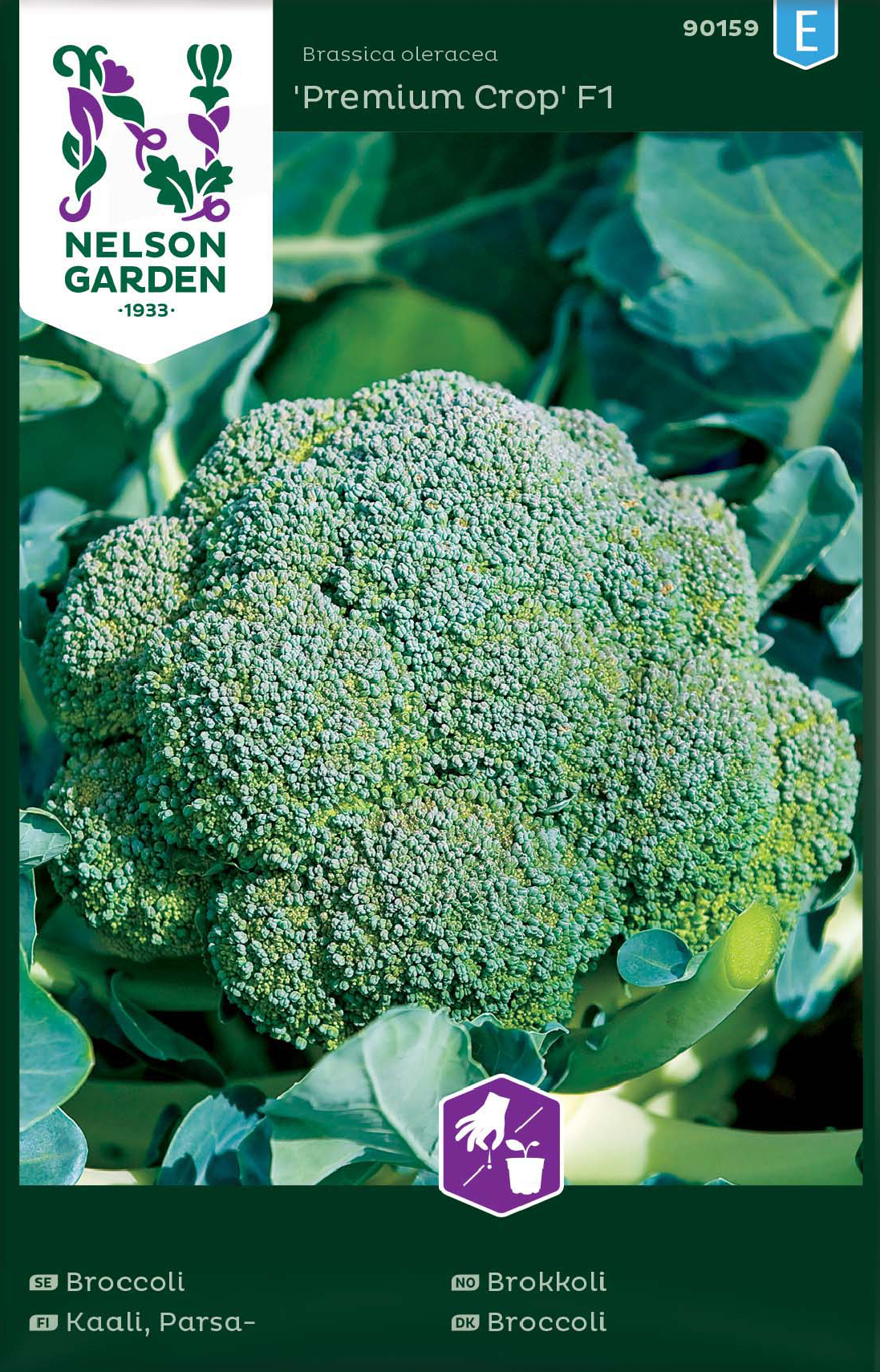 broccoli-premium-atlantis-f1-1