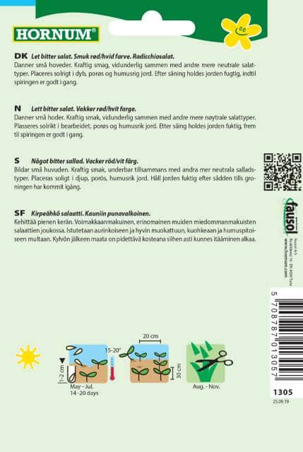 salladscikoria-palla-rossa-2-2