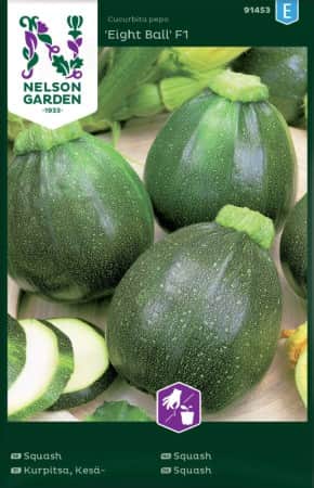 squash-eight-ball-f1-1