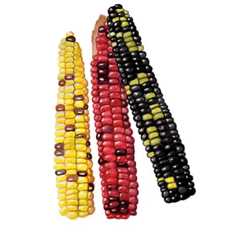 mjlmajs-painted-hill-svenskodlat-fr-1