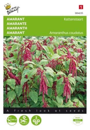rvsvans-love-lies-bleeding-1
