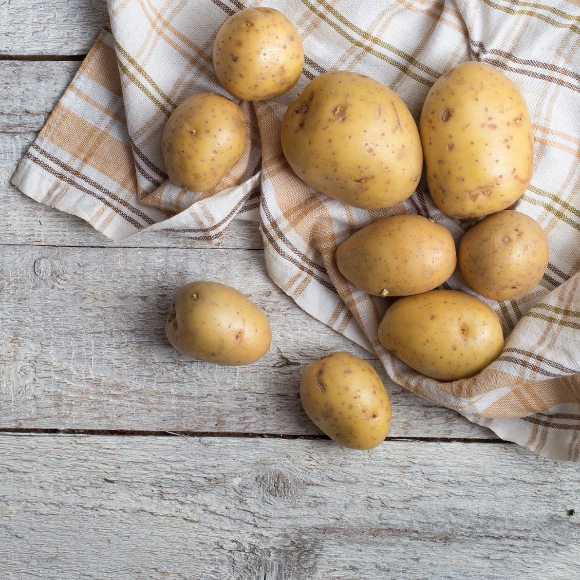 Sättpotatis - Connect 1kg (Årets potatis 2020)