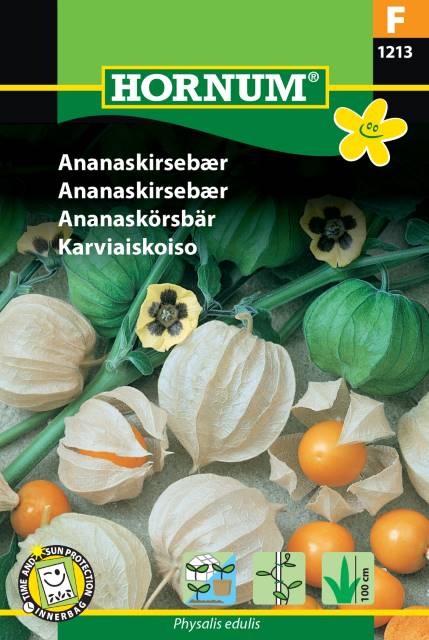 Ananaskörsbär (Physalis), frö