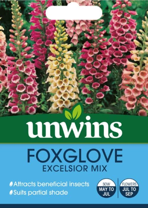 fingerborgsblomma-excelsior-mix-1