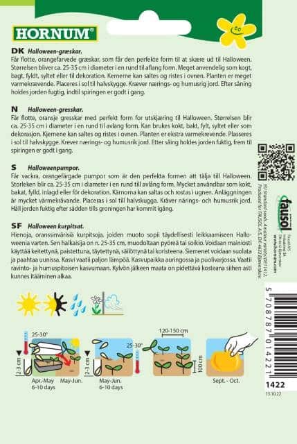 mandelpumpa-jack-olantern-2