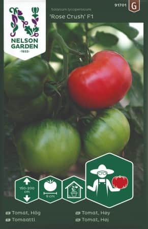 bifftomat-rose-crush-f1-1