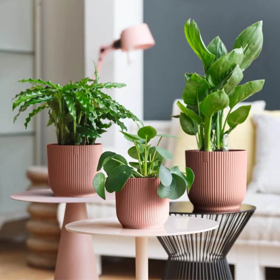 vibes-fold-round-ytterkruka-18cm---delicate-p-4