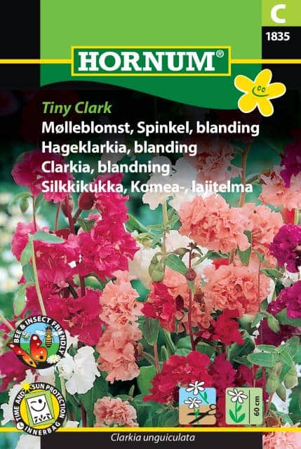 clarkia-tiny-clark-mix-1