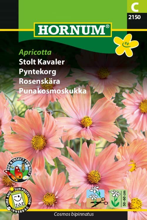 rosenskra-apricotta-1