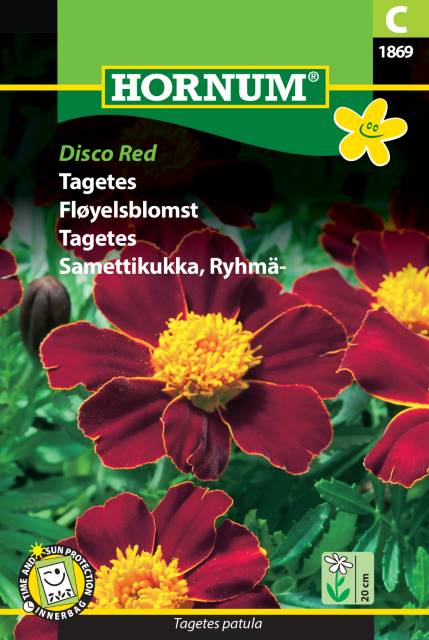 Sammetstagetes ’Disco Red’, frö