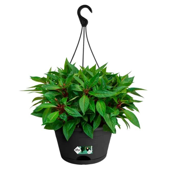 green-basics-hanging-basket-28cm---living-bla-3